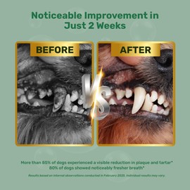 Probiotic Dog Dental Powder - Plaque Off Powder - Dog Teeth Natural Cleaning Powder - Dogs Breath Freshener - Enzymes & Probiotic with Tartar and Plaque Off - Pets Tooth Cleaning- 150g/5.3 oz