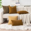 MIULEE Pack of 4 Throw Pillow Covers 18x18 Inch Soft