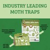 Professor Killamoth Superior Pantry Moth Traps 6-Pack with Pheromones Prime