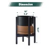 D'vine Dev Ceramic Planter with Ebony Stand - 10 Inch
