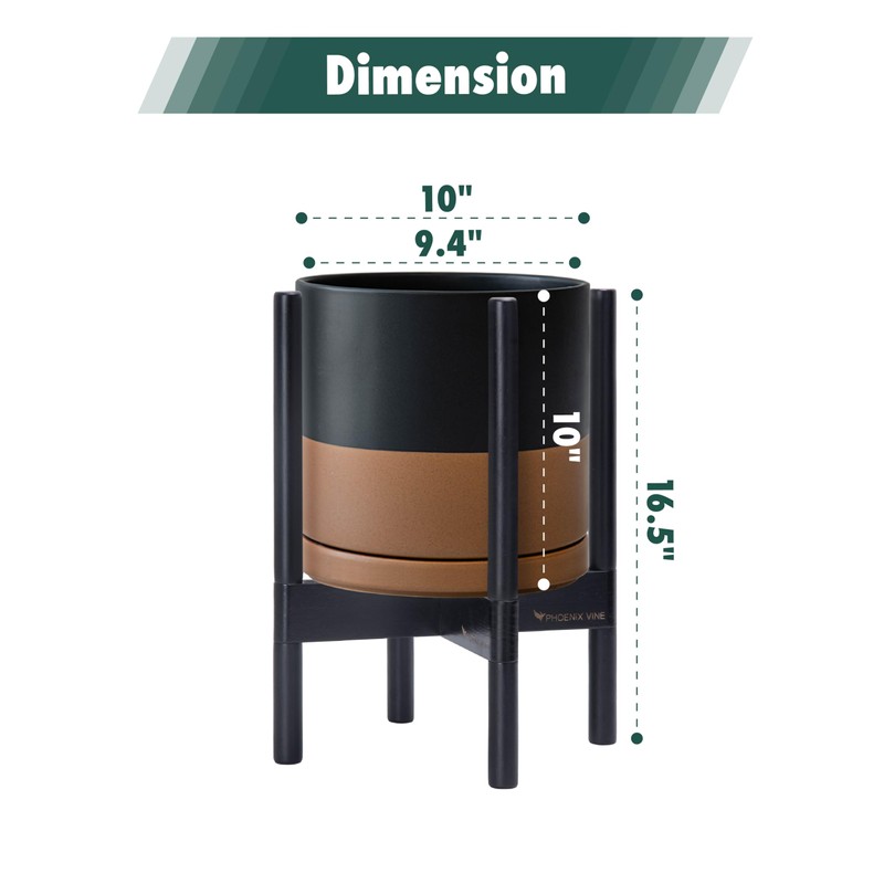 D'vine Dev Ceramic Planter with Ebony Stand - 10 Inch