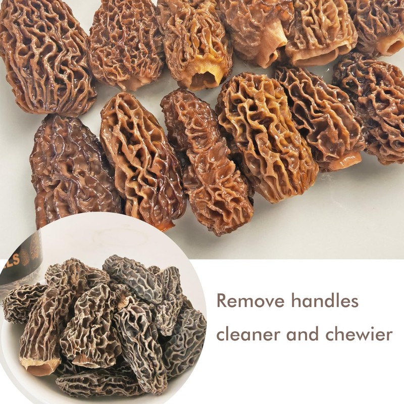 VIGOROUS MOUNTAINS Premium Dried Wild Morel Mushrooms, Wild Harvested, 2oz