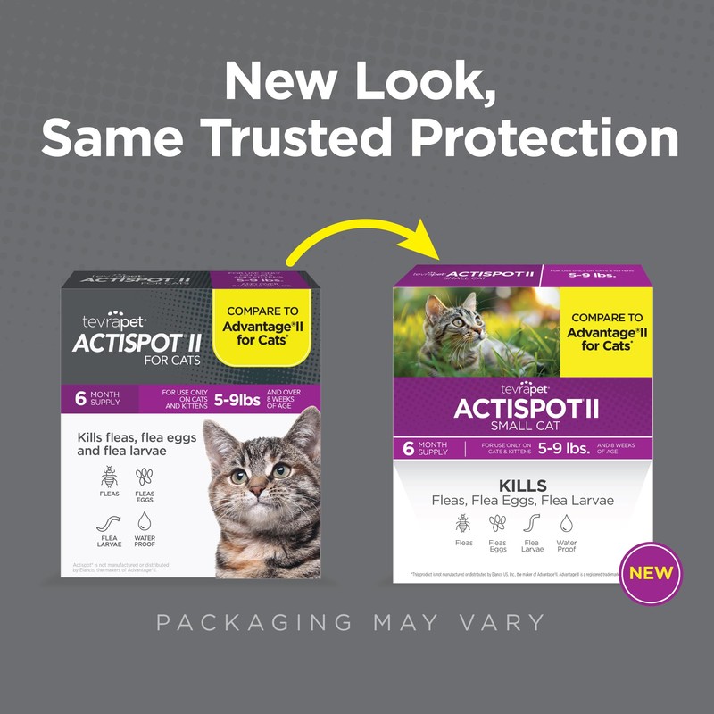 TevraPet Actispot II Flea Treatment for Small and Medium Cats