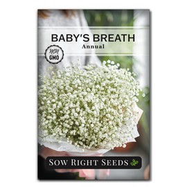Sow Right Seeds - Annual Baby’s Breath Seeds for Planting - Non-GMO White Flowers Heirloom Packet with Instructions to Plant in Your Home Garden - Snow Like Blooms - Fresh and Dried Cut Flower (1)