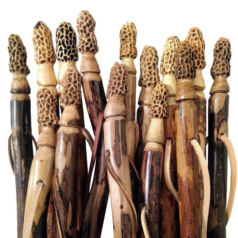 Walking Stick + Morel Mushroom Hunting Stick + Hand Carved