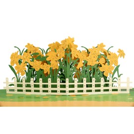 Liebessa 3D Pop Up Card Flowers (Daffodils) Beautiful Birthday Card, Greeting Card for Mother's Day, Greeting Card with Flower Motif