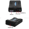 Diyeeni VGA to Scart Converter VGA to Scart Video Audio