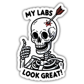 Chronic Illness Stickers Chornic Illness Life My Labs Look Great Cool Vinyl Stickers, Weather-Resistant Sticker for Water Bottles, Laptop, Window, Car Size 3"