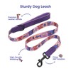 Pawview Dog Collar and Leash Set with QR Code ID