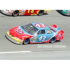 1997 Bobby Hamilton Daytona 4x6 print Free Ship