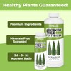 TPS NUTRIENTS Arborvitae Tree Fertilizer for All Arborvitaes, Evergreen Shrubs