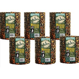 Mr. Bird Woodpecker Feast Birdseed Cylinder - Large 6" Diameter