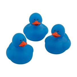 Fun Express Blue Rubber Ducks - 12 Piece