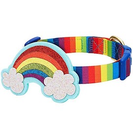 Blueberry Pet 4 Patterns The Perfect Rainbow Adjustable Dog Collar with Blingy Décor, Medium, Neck 14.5"-20"