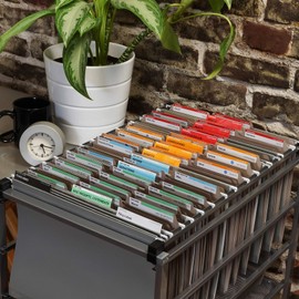 FreedomFiler Home Filing System 1/3 Tab