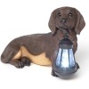 ATCS Realistic Dachshund Dog Puppy Garden Sculpture Holding Solar LED
