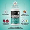 Colágeno Hidrolizado Granada/arándano | Vitamina C, Q10 e Hialurónico