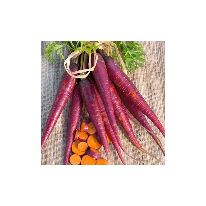 Everwilde Farms - 1 Oz Cosmic Purple Carrot Seeds -