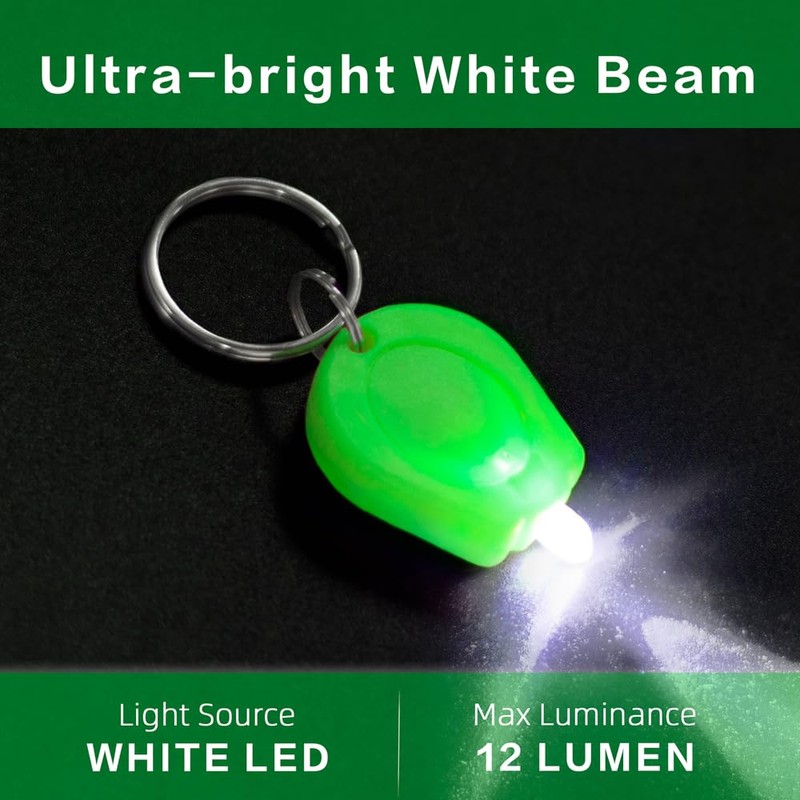 RaySoar 10 Pack Ultra Bright Mini LED Keychain Flashlight, Small