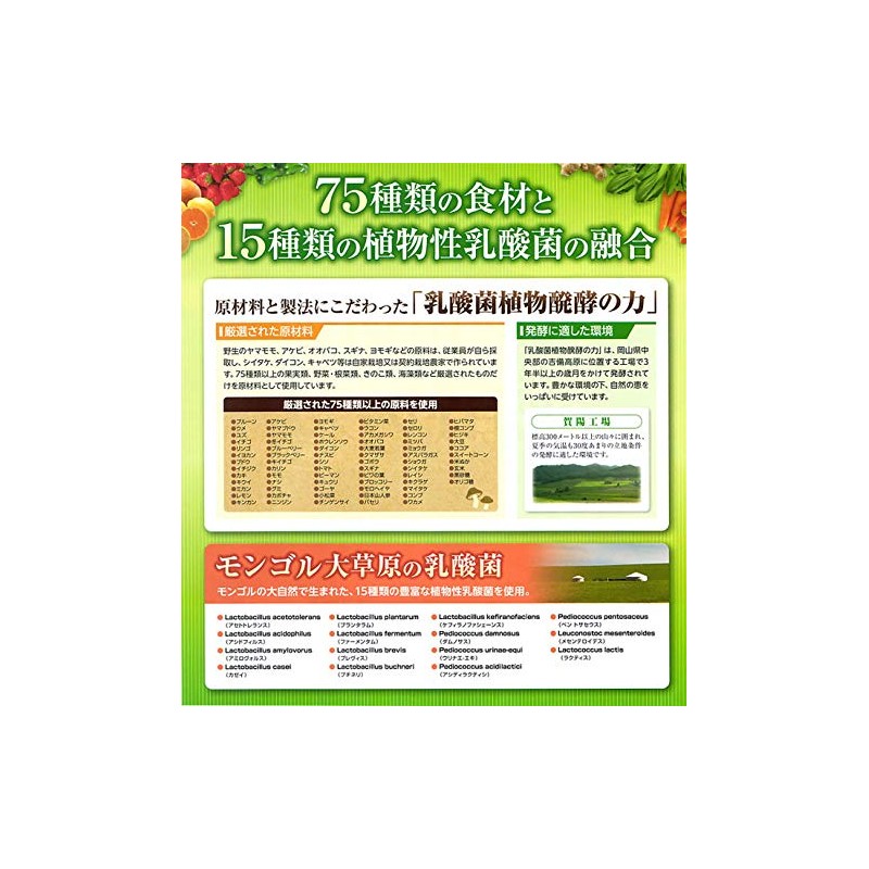 乳酸菌植物発酵の力（顆粒） ヨーグルト味 植物性乳酸菌 45g