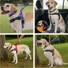 Annchwool No Pull Dog Harness,Heavy Duty Reflective Collar & Leash