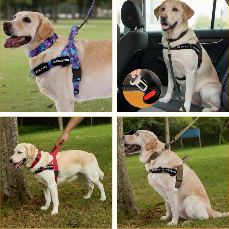 Annchwool No Pull Dog Harness,Heavy Duty Reflective Collar & Leash