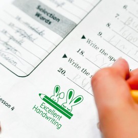 Teacher Stamp | Education Marking Stamp | Reward Stamps for School - Excellent Writing Bunnies
