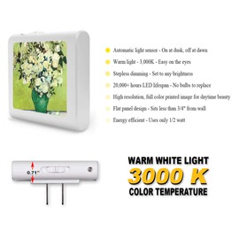 Plug in Dimmable LED Night Light with Dusk to Dawn Auto Sensor, Adjustable Brightness, Warm Light, Auto On-Off Nightlight for Bathroom, Hallway, Nursery, Bedrooms - Van Gogh: Vase of Roses