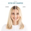 Drybar Detox Coconut Colada Shampoo en Seco Tamaño Jumbo, Azul,