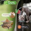 LBTING Bird Feeder for Outside, Squirrel Proof Wild Bird Feeder,