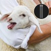 Weewooday 50 Pcs Disposable Artificial Insemination Rods Disposable Breeding Rod