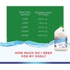 HTH 67045 Algae Guard 10 for Swimming Pools, 1 gal