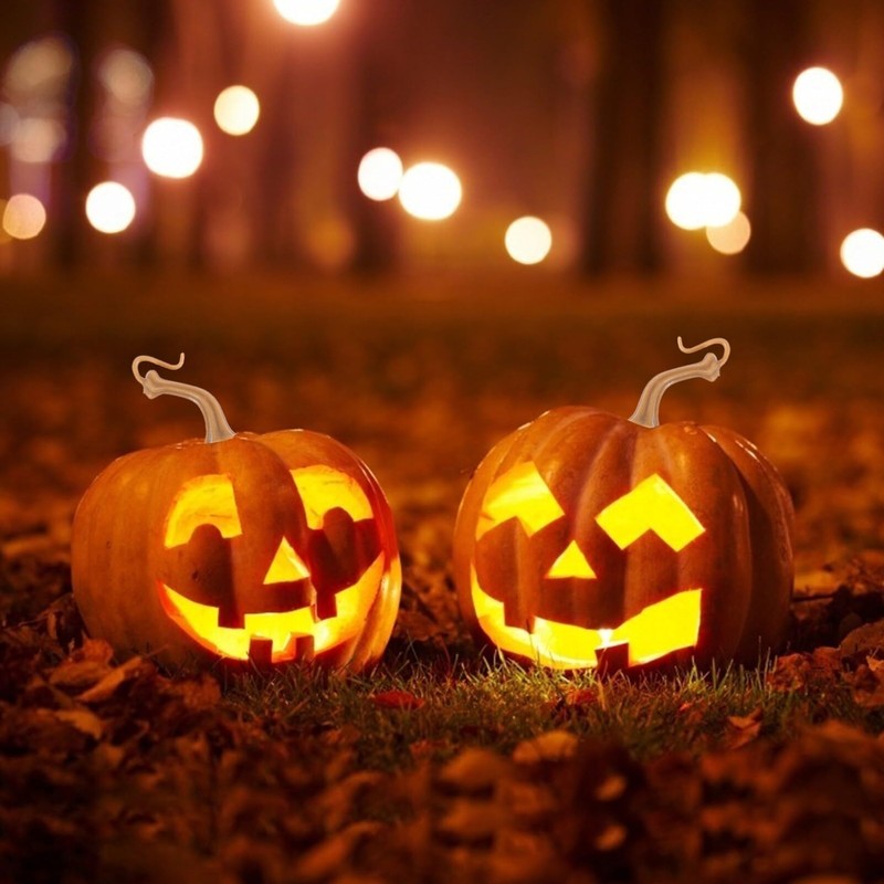 Artibetter 40pcs Pumpkin Stems for Crafts, Halloween Pumpkin Stems, Plastic