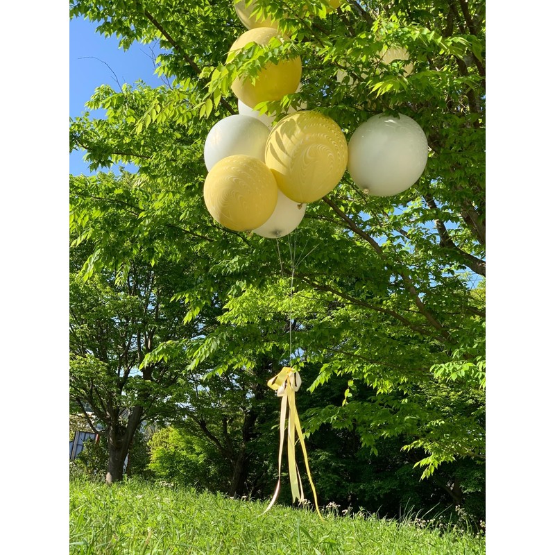Suzuki Latex Peacock Balloons, Silver, Pack of 25