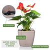 Dexceder 9x8 Self Watering Planter Indoor Outdoor, Inner Mat Design,