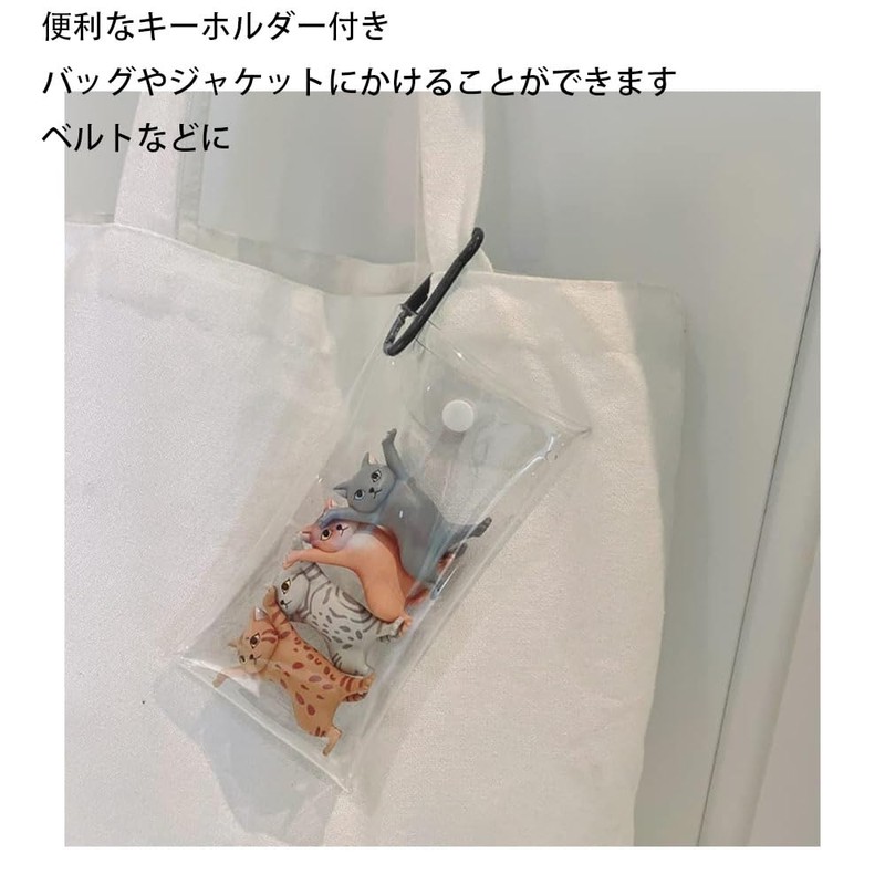 Walk Bag, PVC Blind Case, Cartoon Pouch, Coin Transparent Key