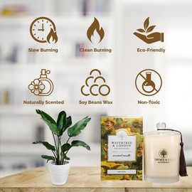 Wavertree & London Organic Havana Scent Soy Wax Candle | Non Toxic 100% Cotton Wick Triple Scented Pure Natural Soy Wax Candles, Hand Poured in Australia | 60 Hours Burning Time, 11.66 Oz