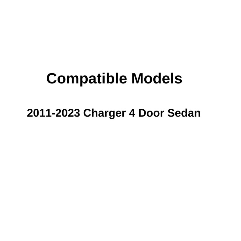 NAGD Fits 2011-2023 Dodge Charger Passenger Right Side Rear Door