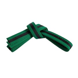Mastery Leadership (green belt/Black stripe, 3)