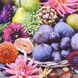 20 Servietten Herbst Früchte im Herbst als Tischdeko. Papierservietten mit Motiv. Auch für Decoupage und Serviettentechnik 33x33cm