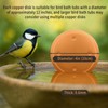 6 Pcs Bird Bath Copper Disk, 0.6mm Premium 99.99% Copper
