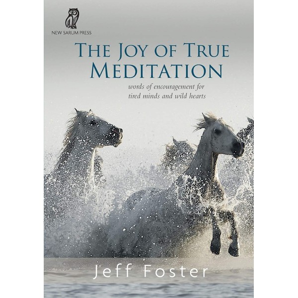 The Joy of True Meditation: Words of Encouragement for Tired