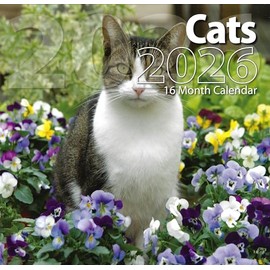 2026 Cats Full Size Wall Calendar for Planning, Scheduling, and Organizing