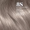 Clairol Nice'n Easy Permanent Hair Dye, 8S Soft Silver Hair