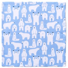 REP Cony 549520 BL 2-Pack Dish Cloth