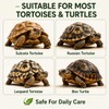 TARANDUS Reptile Shell Balm, Turtle Shell Care Conditioner for Tortoise,