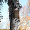Relaxdays Bat Box, Shelter for Bats, H x W x