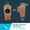 Cash Acme 3/4 Inch RV FWL-2 Pressure Relief Valve, Bronze,