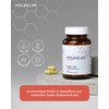 MoleQlar Fisetin 100 mg Capsules Pack of 60, Dietary Supplement with