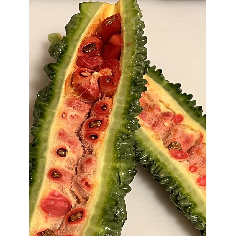 Kho Qua an Do Gourd Bitter Melon Dark Jade 5